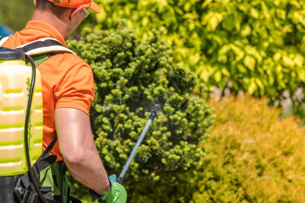 Professional Gardener Pesticide Sprayer. Spraying Plants Garden Spring Maintenance.